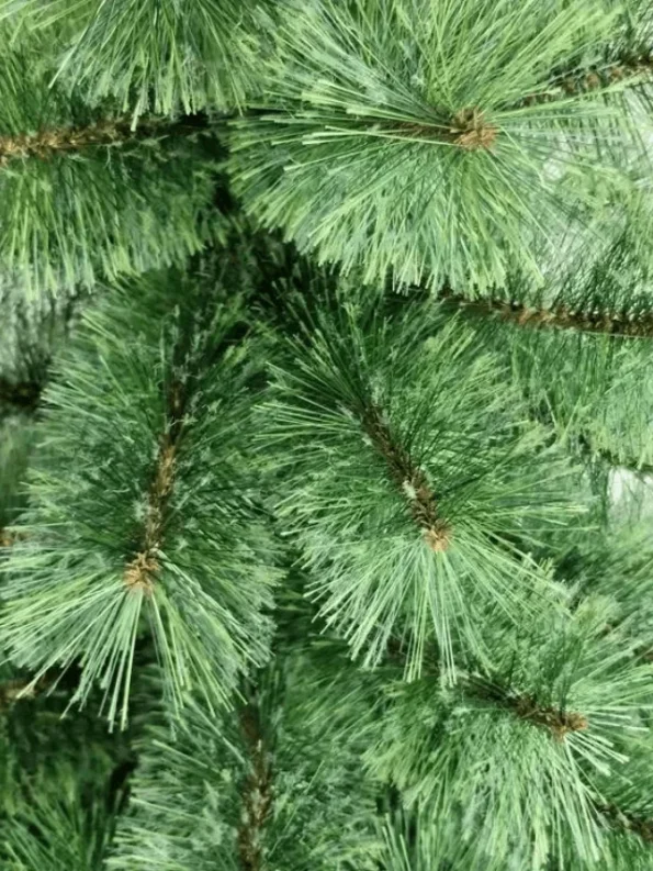 pine greenchristmas tree, pre light christmas tree, led light tree, snow pine tree, cone pine tree, Frosted Tree with Cones christmas tree, clear christmas baubles, blue christmas tree decorations, dobbies christmas trees, tabletop christmas tree, slim christmas tree with lights, 7ft christmas tree sale clearance, 10ft christmas tree
