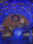 blue 440 christmas decoration light (5)