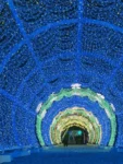 blue 440 christmas decoration light (5)