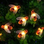 Light
