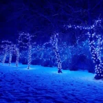 Light (1)