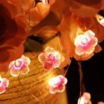Light (1)