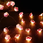 Light (1)