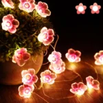Light (1)
