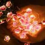 Light (1)