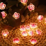 Light (1)