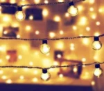 globe led ball (6)
