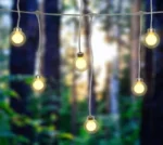 globe led ball (6)
