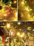 warm white led christmas light (1)