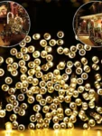 warm white led christmas light (1)