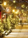 warm white led christmas light (1)