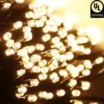 Light